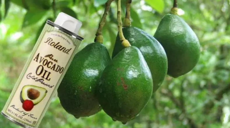 Roland 羅朗德核桃油&牛油果油 寶寶孕媽都愛吃的植物油