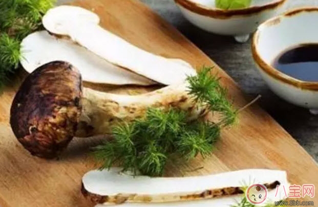 孕婦可以吃松茸嗎 適合孕婦的松茸做法 孕婦可以吃松茸嗎 適合孕婦的松茸做法