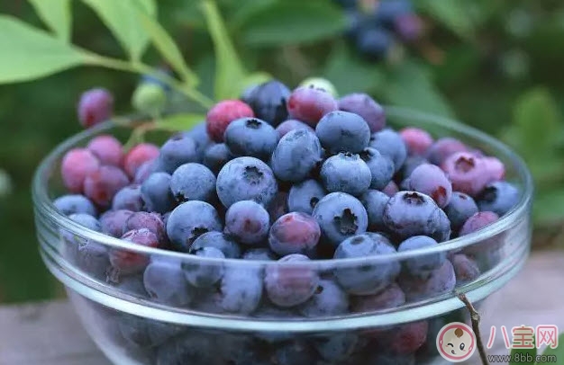 孕婦一天吃多少顆藍莓 孕婦吃藍莓怎么洗才干凈