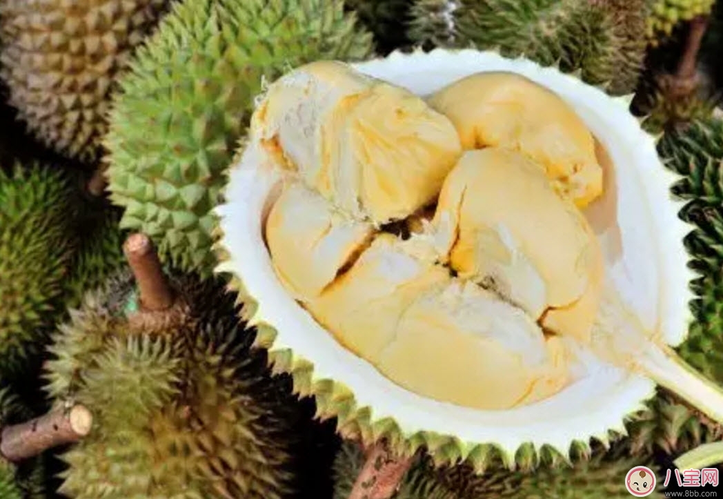 孕婦偶爾吃榴蓮可以嗎 孕婦榴蓮吃多了會怎么樣有什么影響