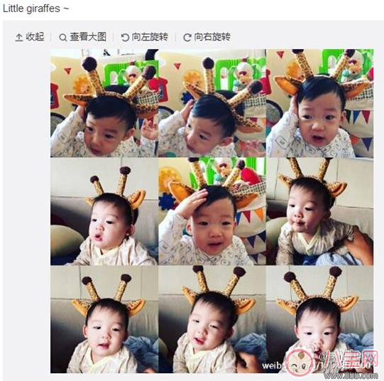 陳冠?，F(xiàn)身日本變曬娃狂魔 給孩子拍照怎么拍好