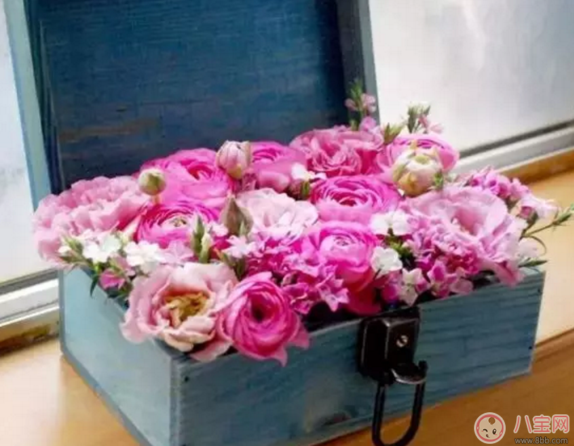 七夕節(jié)送什么花給老婆 怎么送花更浪漫