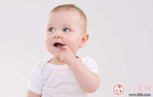 寶寶吃粥這么吃才好 寶寶喝粥做法推薦