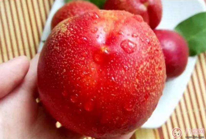 孕婦能吃油桃嗎哺乳期能吃油桃嗎 孕婦吃油桃的注意事項有哪些