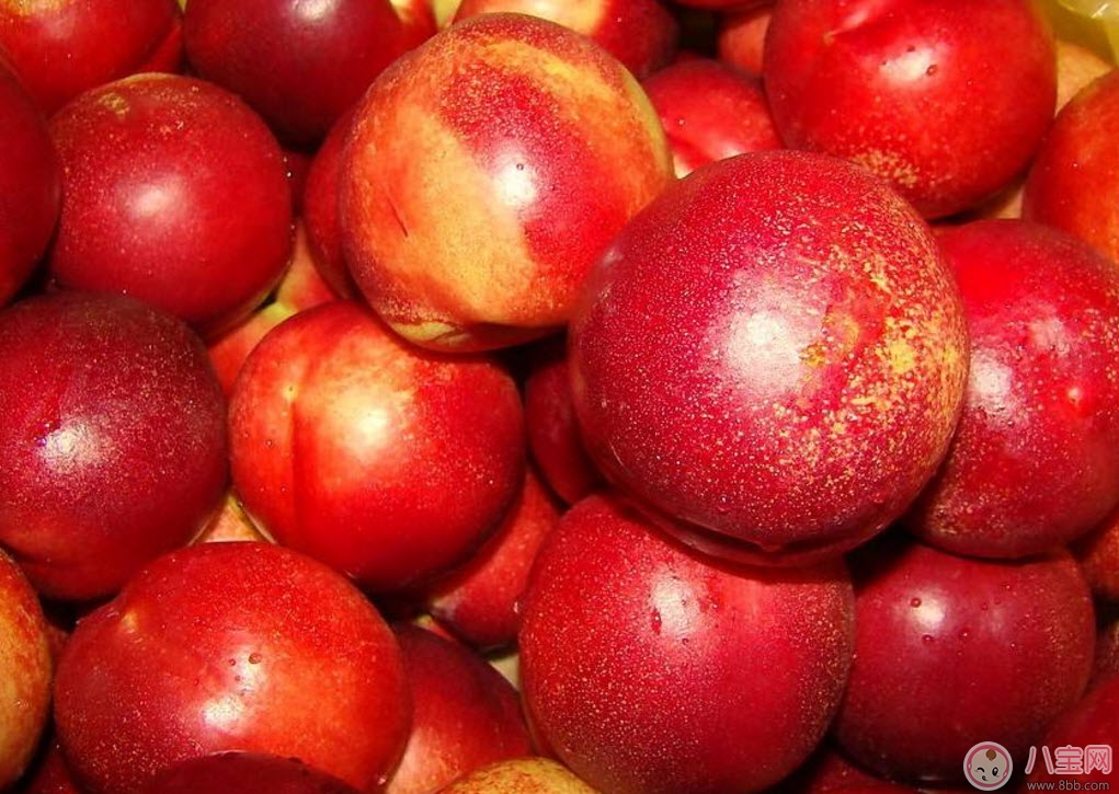 孕婦能吃油桃嗎哺乳期能吃油桃嗎 孕婦吃油桃的注意事項有哪些