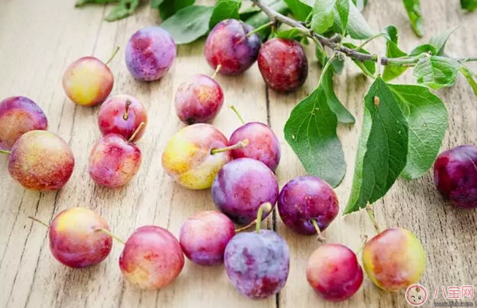 紅心李子孕婦可以吃嗎 孕婦最多能吃多少個紅李子