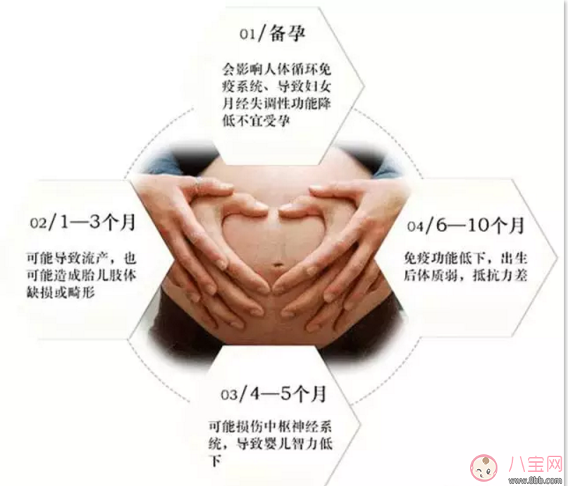 樂朵抗射線防輻射服 地鐵安檢全能防 適合所有孕媽和要備孕的妞們！