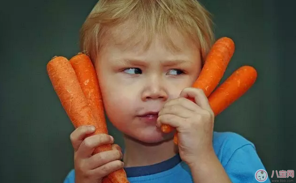 秋季寶寶飲食推薦 胡蘿卜營(yíng)養(yǎng)又美味 秋季寶寶飲食推薦 胡蘿卜營(yíng)養(yǎng)又美味