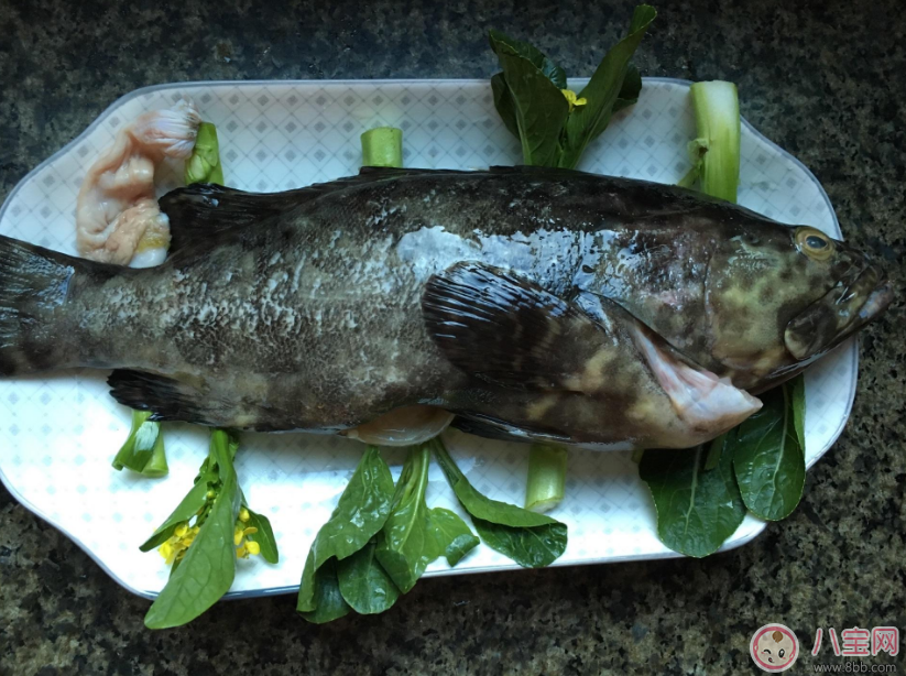 寶寶吃魚變聰明 怎么給寶寶吃魚