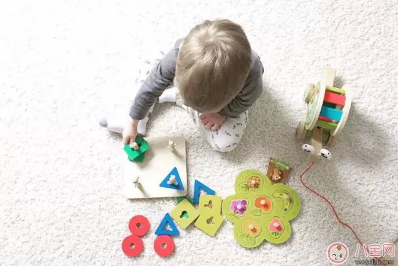 寶寶大腦發(fā)育需要幾種營養(yǎng) 影響寶寶腦部發(fā)育的六大飲食習慣有哪些 寶寶大腦發(fā)育需要幾種營養(yǎng) 影響寶寶腦部發(fā)育的六大飲食習慣有哪些