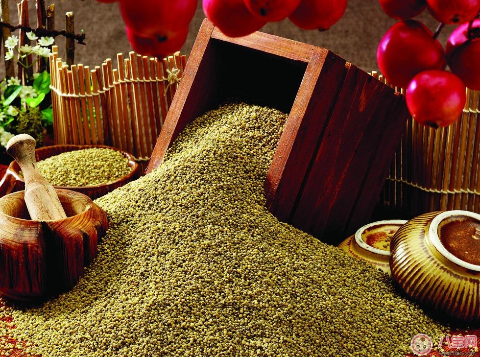 綠豆消暑美容作用大  如何發(fā)揮綠豆的作用