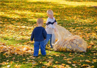 秋季如何去燥  適合寶寶的去燥輔食