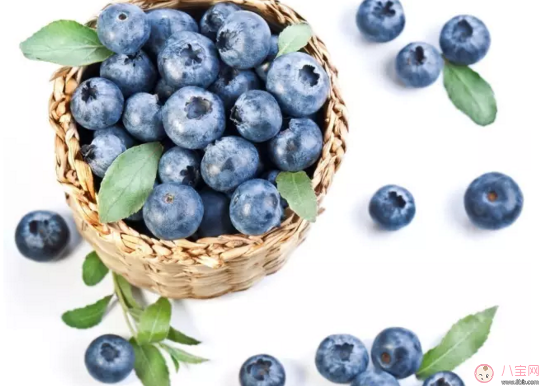 藍(lán)莓輔食營(yíng)養(yǎng)高 如何給寶寶吃