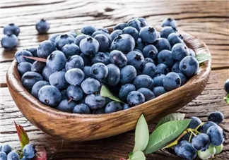 藍(lán)莓輔食營(yíng)養(yǎng)高 如何給寶寶吃