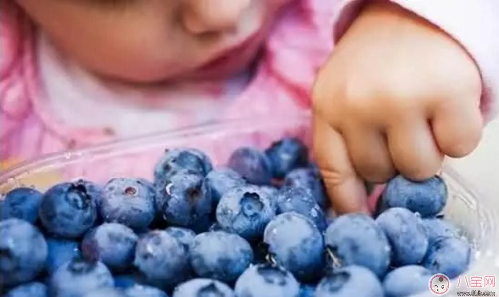 寶寶食用藍莓好處多 幫助骨骼生長