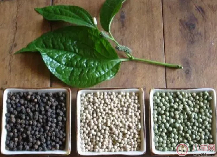 孕婦為什么不能吃胡椒粉 懷孕吃了胡椒會怎么樣