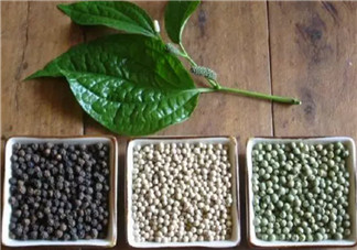 孕婦為什么不能吃胡椒粉 懷孕吃了胡椒會(huì)怎么樣