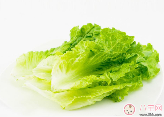寶寶愛吃生菜怎么做 寶寶最適合吃的生菜做法