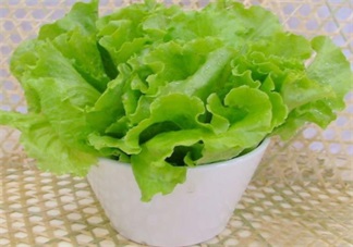 寶寶愛吃生菜怎么做 寶寶最適合吃的生菜做法