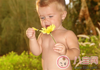 如何安全使用嬰兒爽身粉 父母放心使用