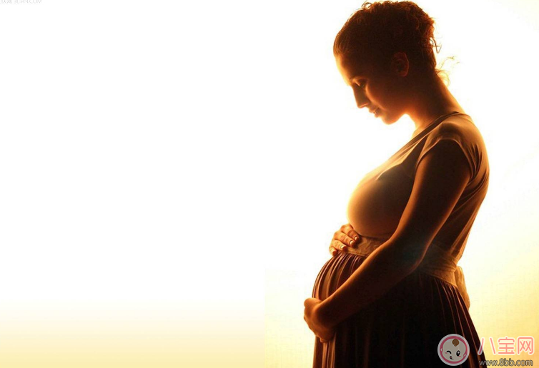 懷孕貧血補(bǔ)血的方法是什么 孕婦貧血食物推薦