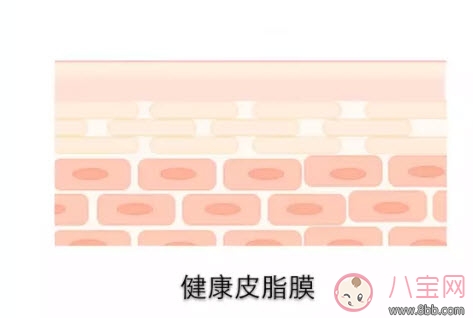 2017夏天寶寶洗澡要用沐浴露嗎 嬰兒用沐浴露洗澡好嗎