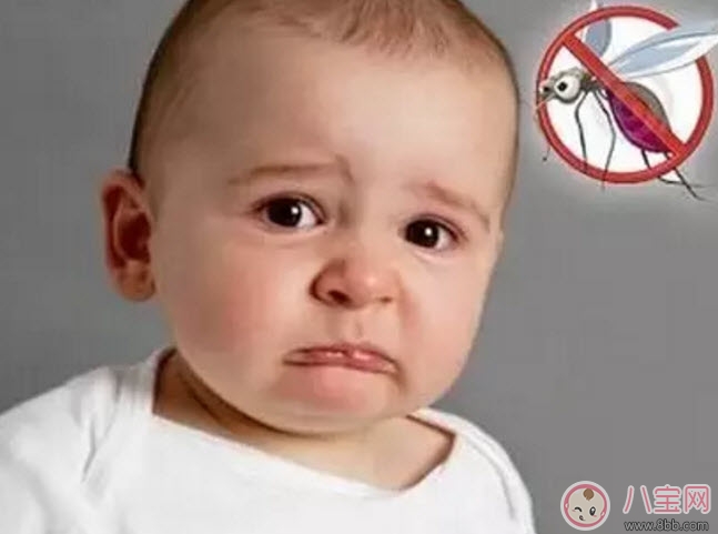 夏天寶寶驅(qū)蚊方法大全 寶寶驅(qū)蚊成分哪種安全有效