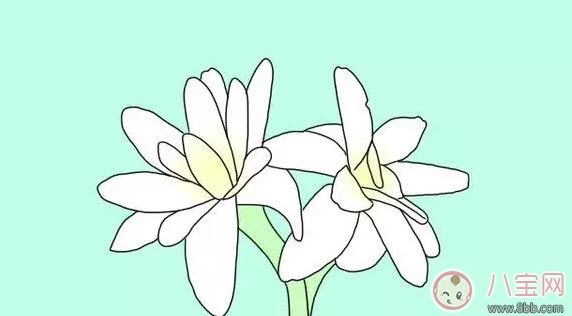 夏天寶寶驅(qū)蚊方法大全 寶寶驅(qū)蚊成分哪種安全有效