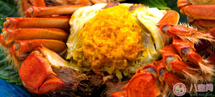 八個月寶寶可以吃蟹黃嗎 蟹黃怎么給寶寶吃 八個月寶寶可以吃蟹黃嗎 蟹黃怎么給寶寶吃