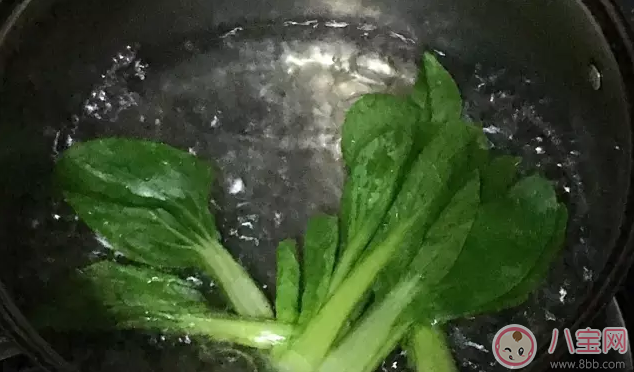 寶寶輔食酸奶餅 酸奶青菜營(yíng)養(yǎng)豐富