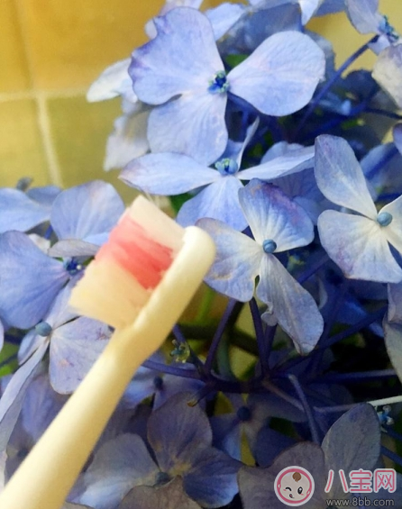 寶寶刷牙用什么牙刷好 sidda兒童智能牙刷測評(píng) 寶寶刷牙用什么牙刷好 sidda兒童智能牙刷測評(píng)