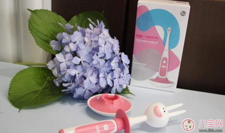 寶寶刷牙用什么牙刷好 sidda兒童智能牙刷測評(píng) 寶寶刷牙用什么牙刷好 sidda兒童智能牙刷測評(píng)