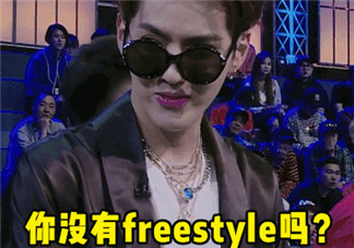 freestyle是什么梗，freestyle出處(吳亦凡中國(guó)有嘻哈)