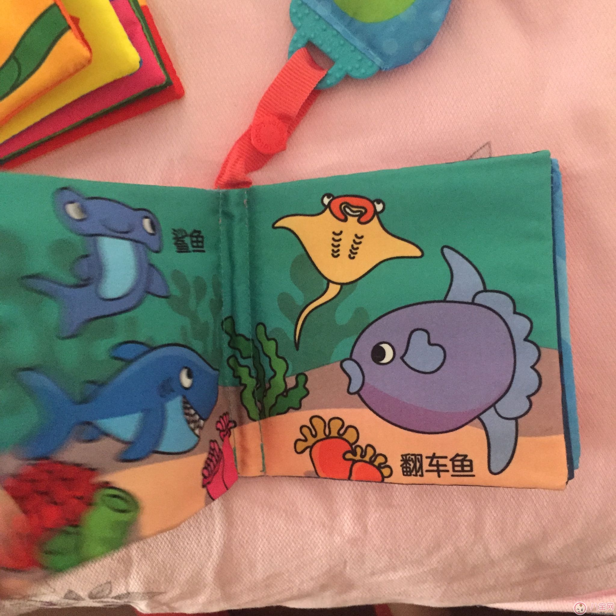 拉拉布書好用嗎 拉拉布書測(cè)評(píng)