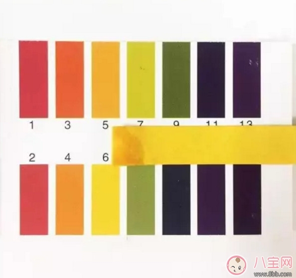 漂漂羽毛濕巾怎么樣 漂漂羽毛濕巾測評(完整版)