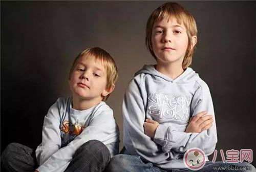 兩個孩子怎么養(yǎng)    兩孩子一定要注意的8點