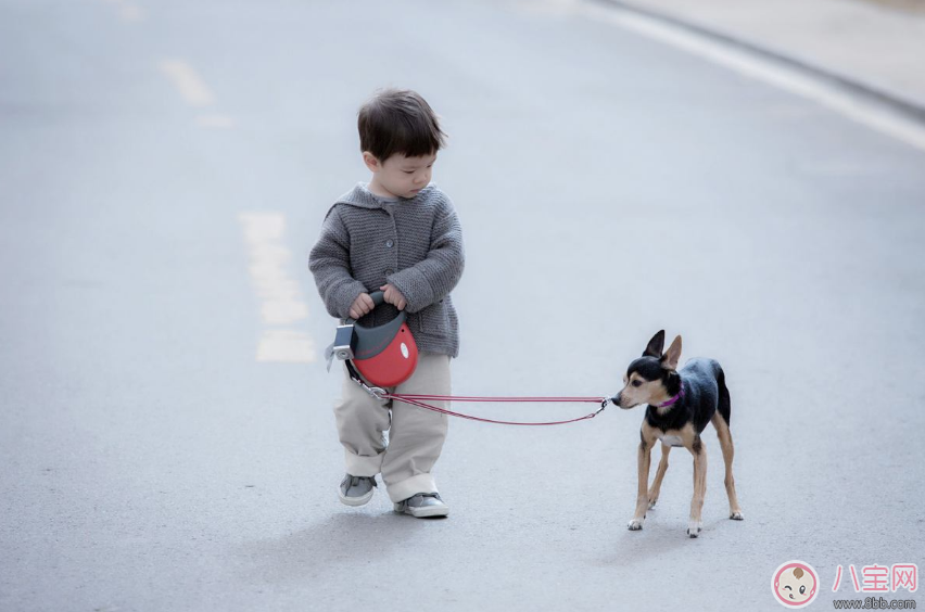 孩子頭發(fā)黃怎么辦 如何改善孩子頭發(fā)黃 孩子頭發(fā)黃怎么辦 如何改善孩子頭發(fā)黃