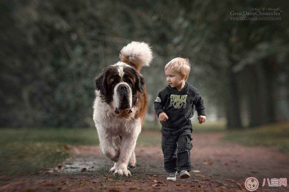 家中養(yǎng)寵物怎么和孩子和諧相處 寵物與寶寶相處法則