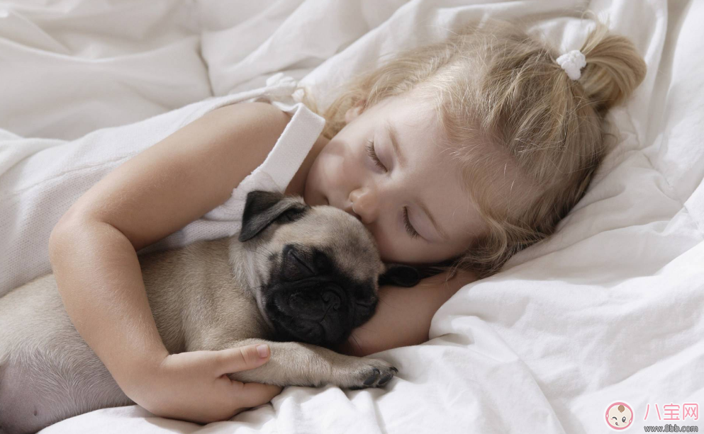 家中養(yǎng)寵物怎么和孩子和諧相處 寵物與寶寶相處法則