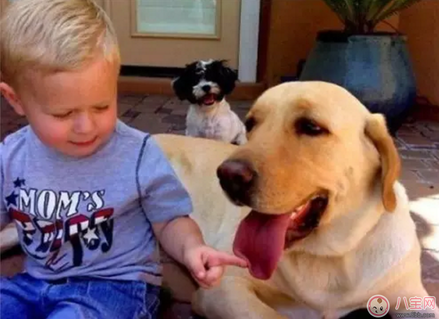 寶寶意外受傷怎么辦 如何避免破傷風 寶寶意外受傷怎么辦 如何避免破傷風