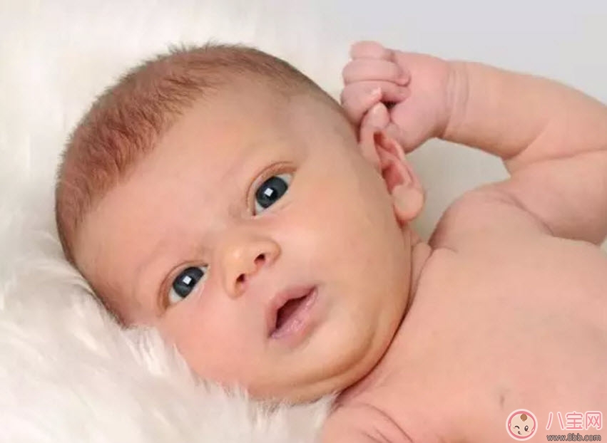 寶寶喜歡摸自己耳朵是怎么回事 四個月寶寶經(jīng)常用手抓耳什么原因