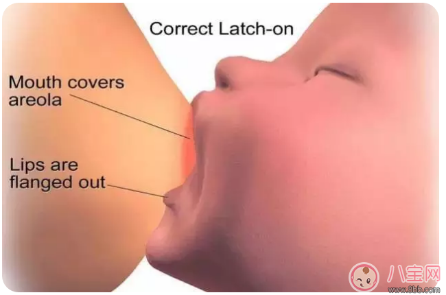母乳喂養(yǎng)很艱難 別不小心走到坑里面去了