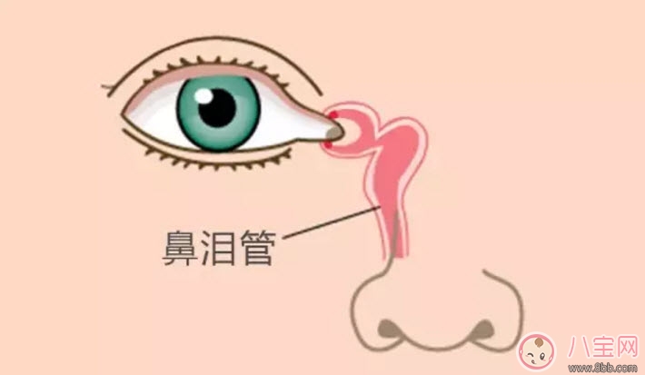 一歲寶寶眼屎突然變多是怎么回事怎么辦 寶寶眼屎多按摩鼻淚管怎么做