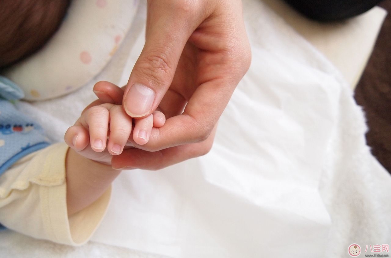 給寶寶剪指甲如何避免錯誤 如何正確的給寶寶剪指甲
