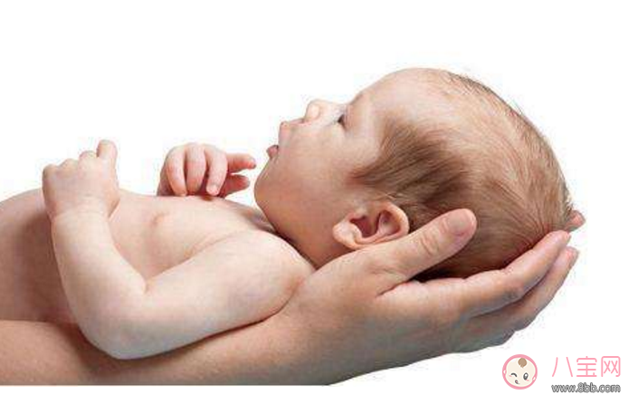 新生兒鼻尖上起了好多小白點是什么 寶寶鼻子上有小白點