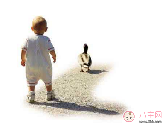 孩子過早走路危害大 什么時(shí)候教孩子走路好