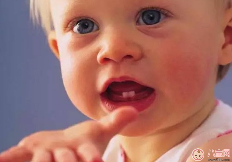 寶寶不長牙是什么原因 寶寶長牙的征兆有哪些 寶寶不長牙是什么原因 寶寶長牙的征兆有哪些