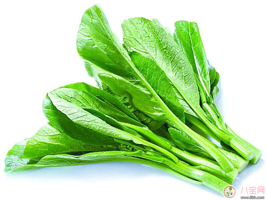 孩子居然不認(rèn)識瓜果蔬菜 教會孩子認(rèn)識蔬菜很重要