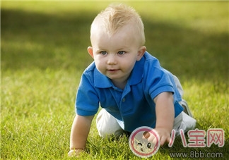 嬰幼兒爬行期  發(fā)展感知能力