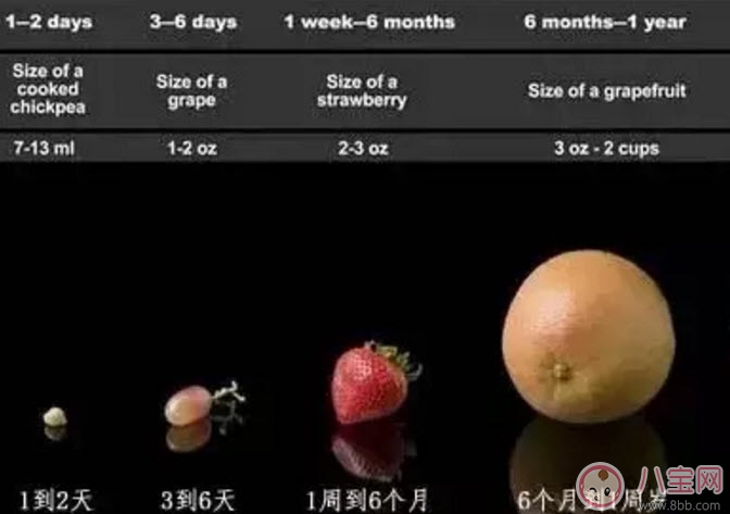 0-12月寶寶奶量標準 早產(chǎn)兒每日需要多少奶量